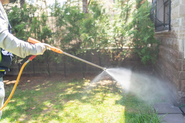 Best Ant Control Services  in USA